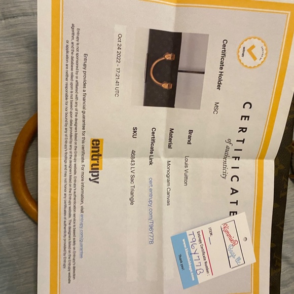 Triangle sac Louis Vuitton handbag - Picture 6 of 6